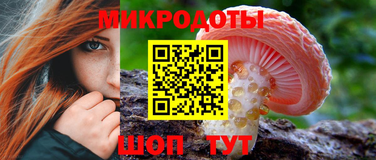 Галлюциногенные грибы прущие грибы Урус-Мартан